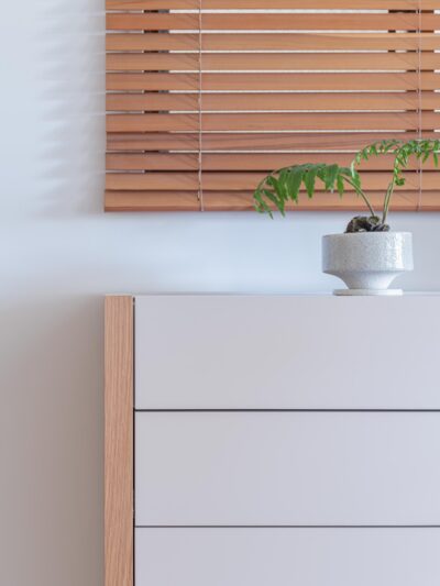 パカパカと。 | いろいろ